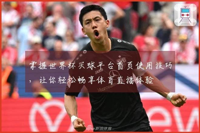 掌握世界杯买球平台首页使用技巧，让你轻松畅享体育直播体验