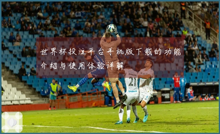 世界杯投注平台手机版下载的功能介绍与使用体验详解