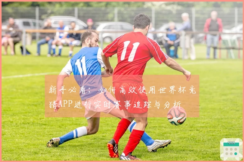 新手必看：如何高效使用世界杯竞猜APP进行实时赛事追踪与分析
