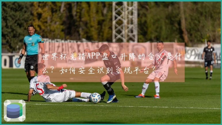 世界杯竞猜APP盘口升降的含义是什么？如何安全识别合规平台？