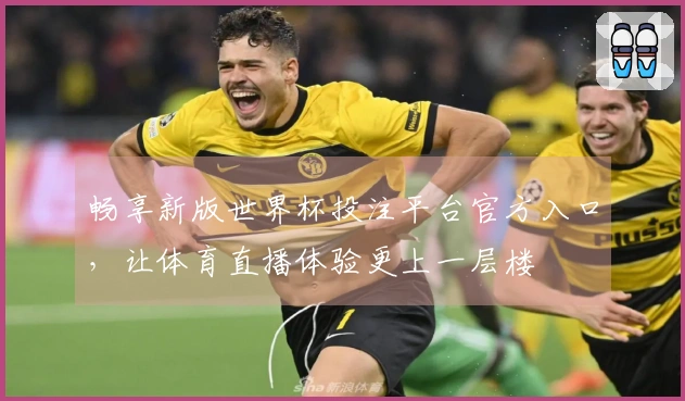 畅享新版世界杯投注平台官方入口，让体育直播体验更上一层楼