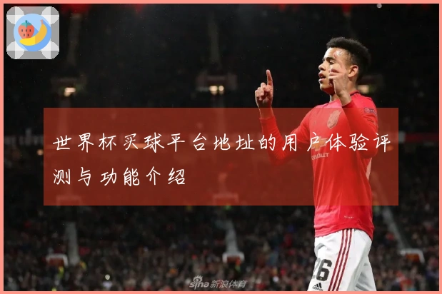 世界杯买球平台地址的用户体验评测与功能介绍