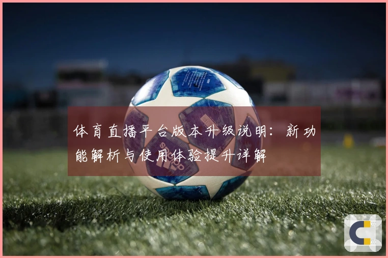 体育直播平台版本升级说明：新功能解析与使用体验提升详解