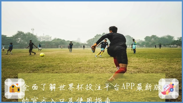 全面了解世界杯投注平台APP最新版的官方入口及使用指南