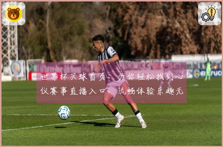 世界杯买球首页，为你轻松找到心仪赛事直播入口，流畅体验乐趣无穷