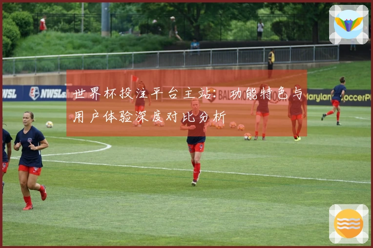 世界杯投注平台主站：功能特色与用户体验深度对比分析