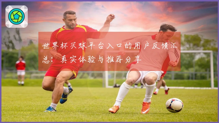 世界杯买球平台入口的用户反馈汇总：真实体验与推荐分享