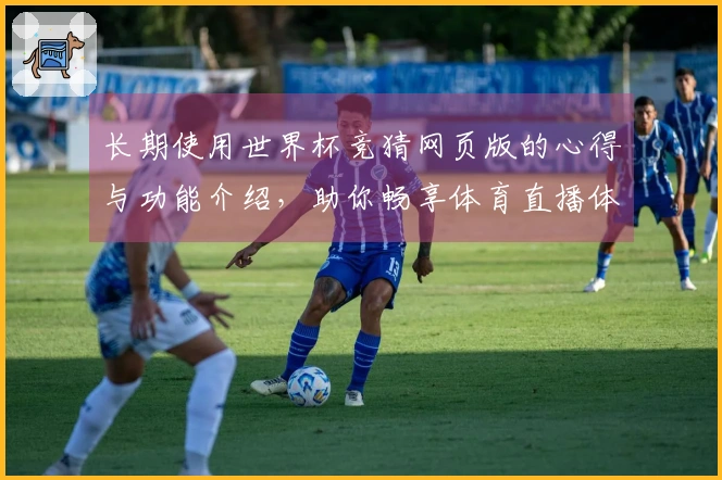 长期使用世界杯竞猜网页版的心得与功能介绍，助你畅享体育直播体验