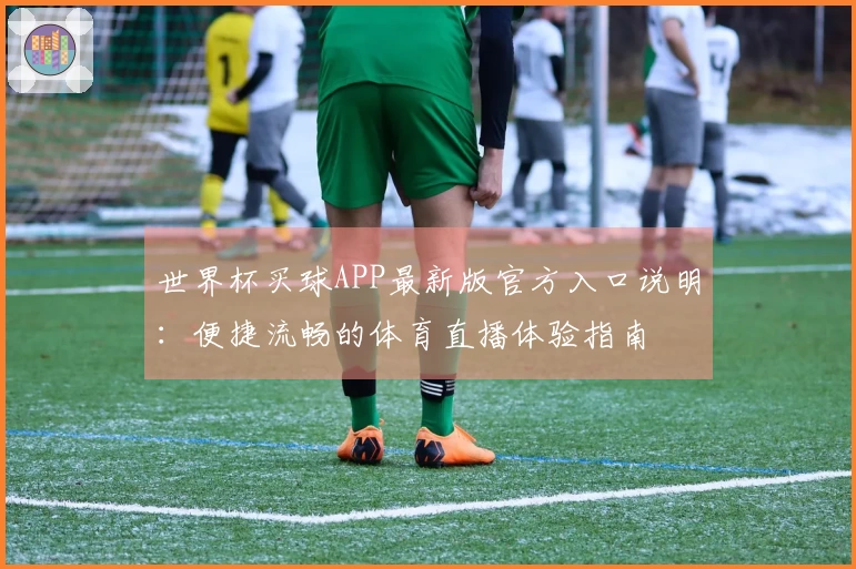 世界杯买球APP最新版官方入口说明：便捷流畅的体育直播体验指南