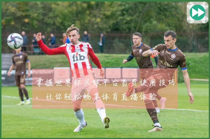 掌握世界杯买球平台首页使用技巧，让你轻松畅享体育直播体验