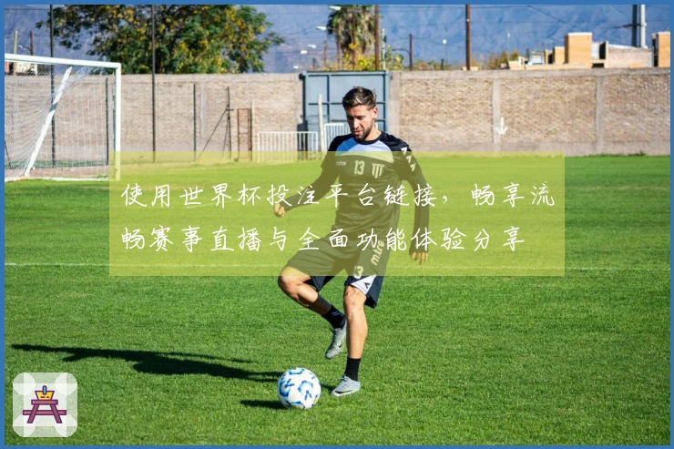 使用世界杯投注平台链接，畅享流畅赛事直播与全面功能体验分享